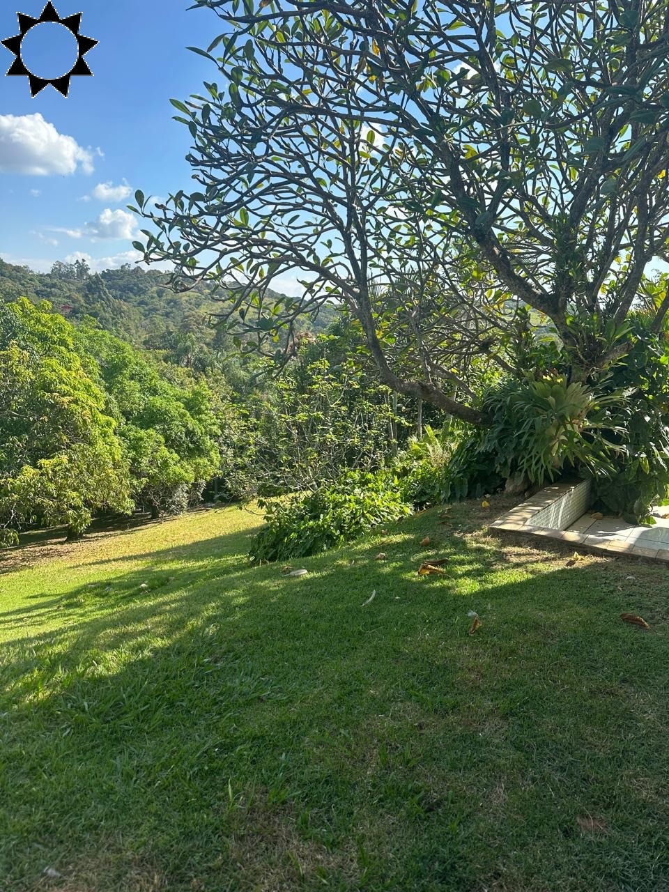 Sítio, 4 quartos, 4550 m² - Foto 13