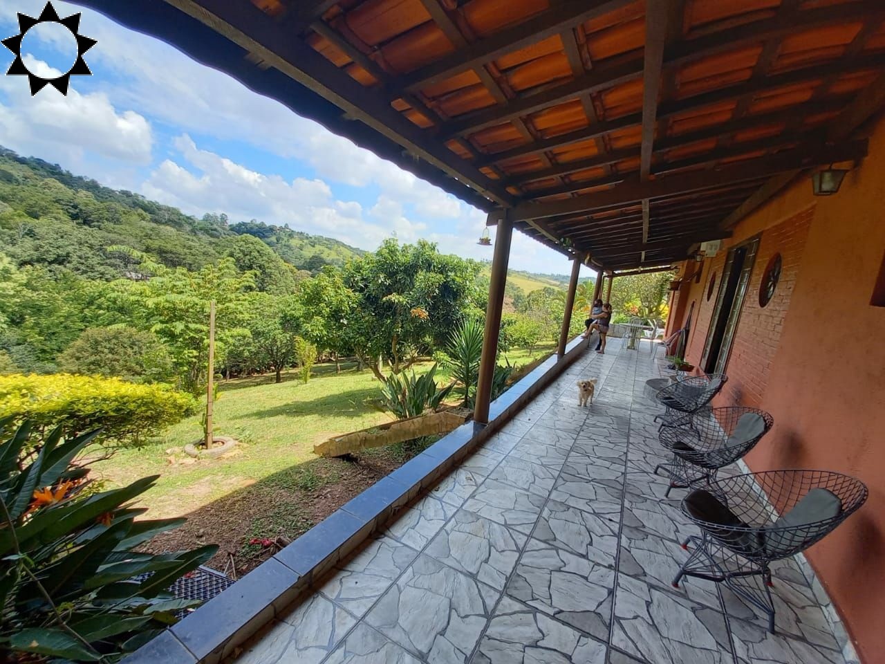 Sítio, 4 quartos, 4550 m² - Foto 19