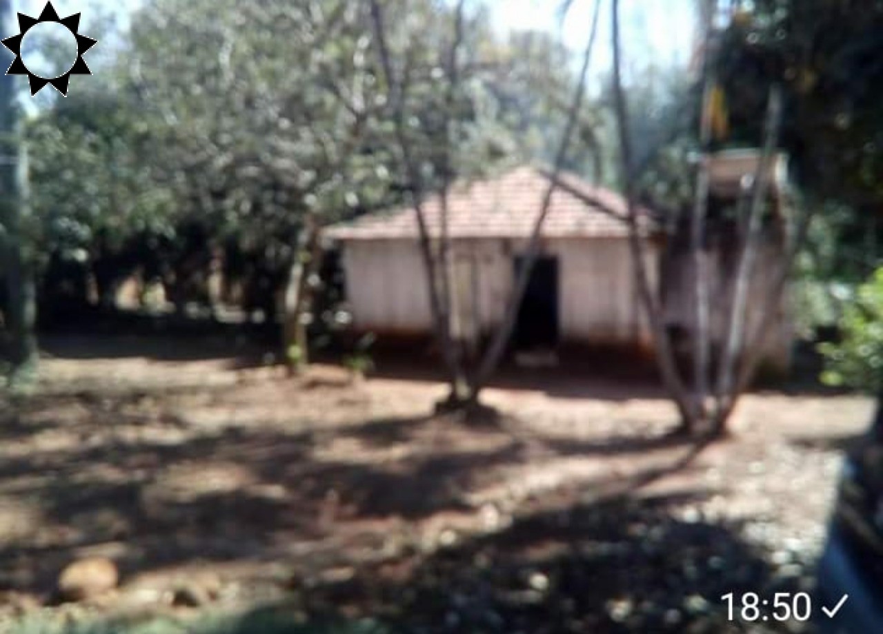 Sítio, 3 quartos, 4230 m² - Foto 2