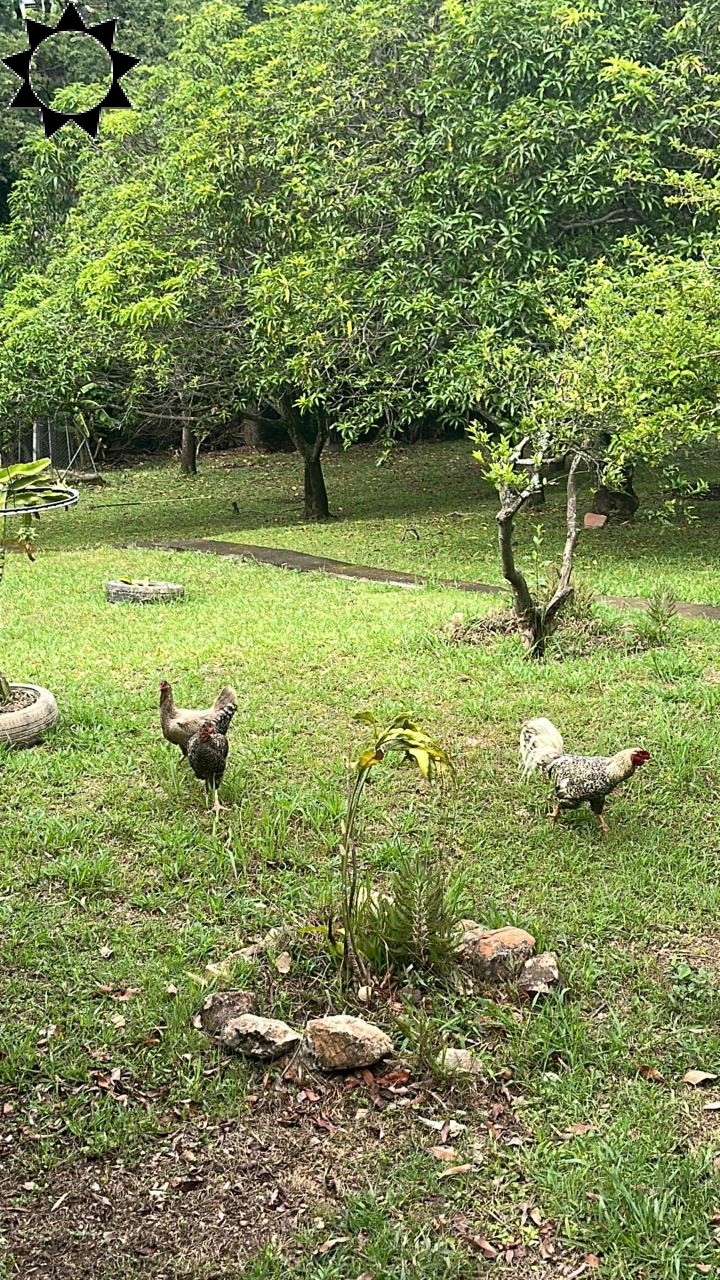 Sítio, 4 quartos, 4550 m² - Foto 11