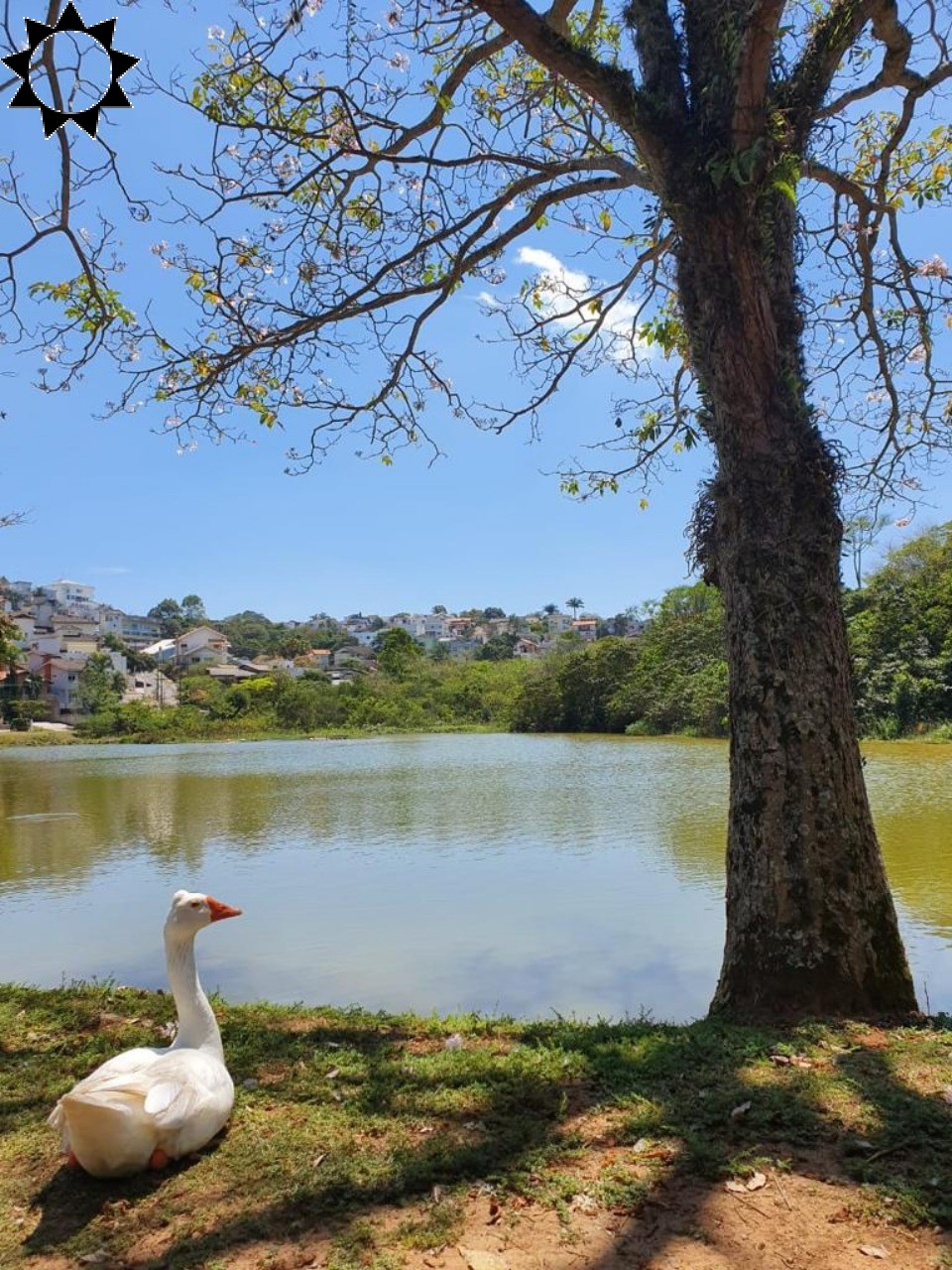 Casa, 4 quartos, 1200 m² - Foto 10