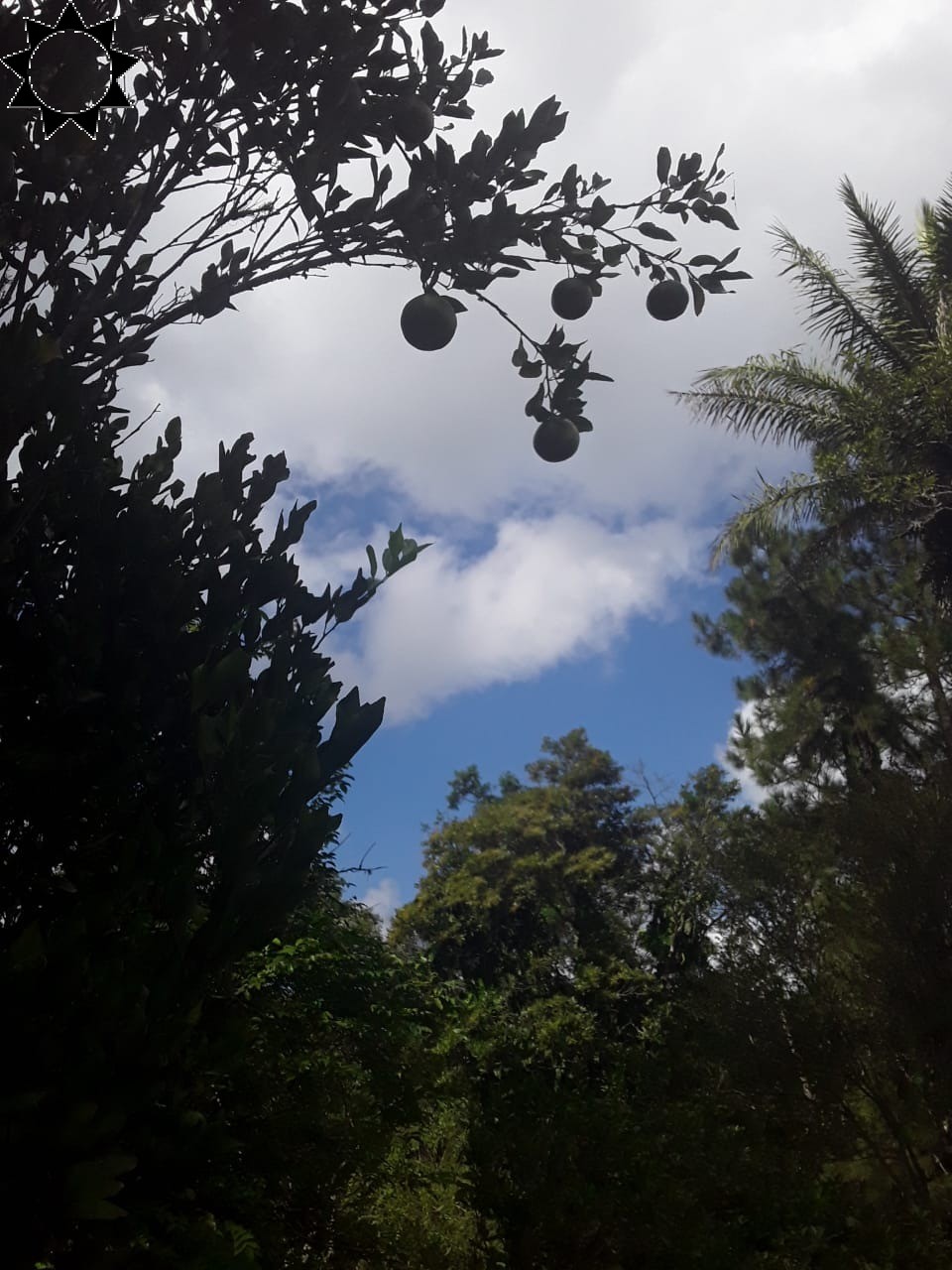 Fazenda, 2 hectares - Foto 16