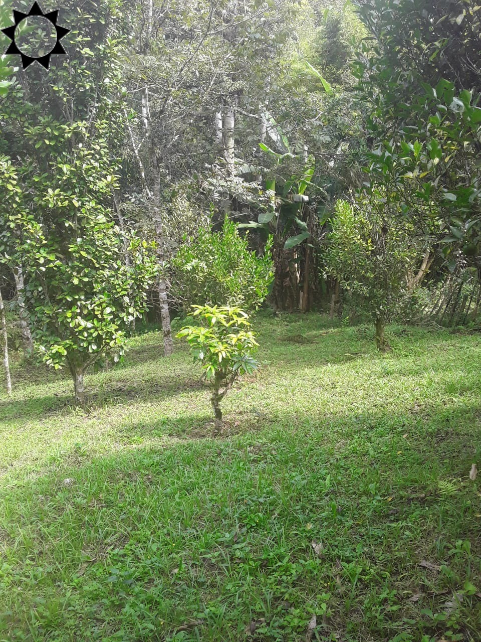 Fazenda, 2 hectares - Foto 14