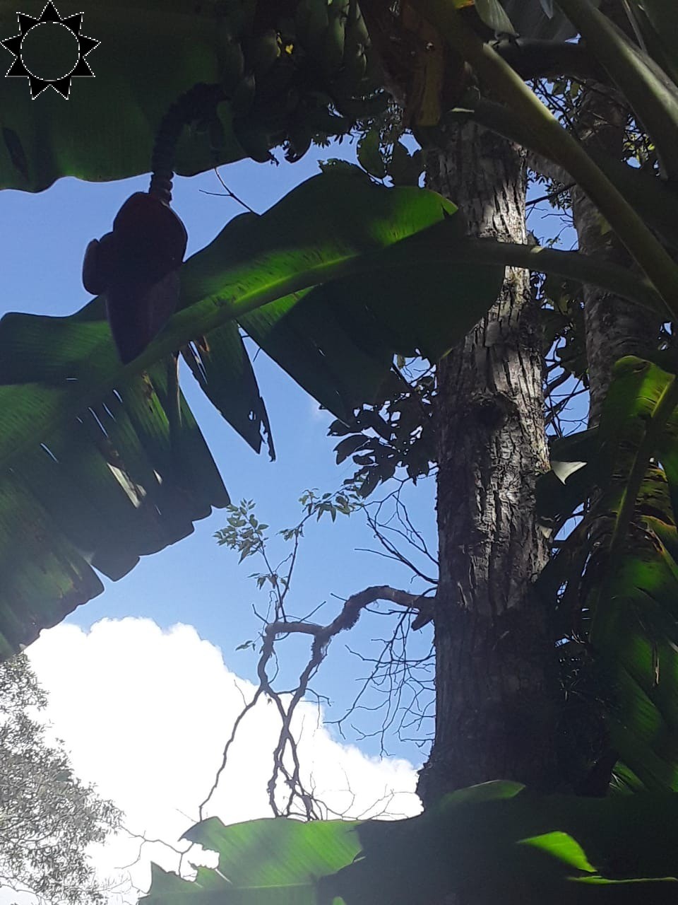 Fazenda, 2 hectares - Foto 12