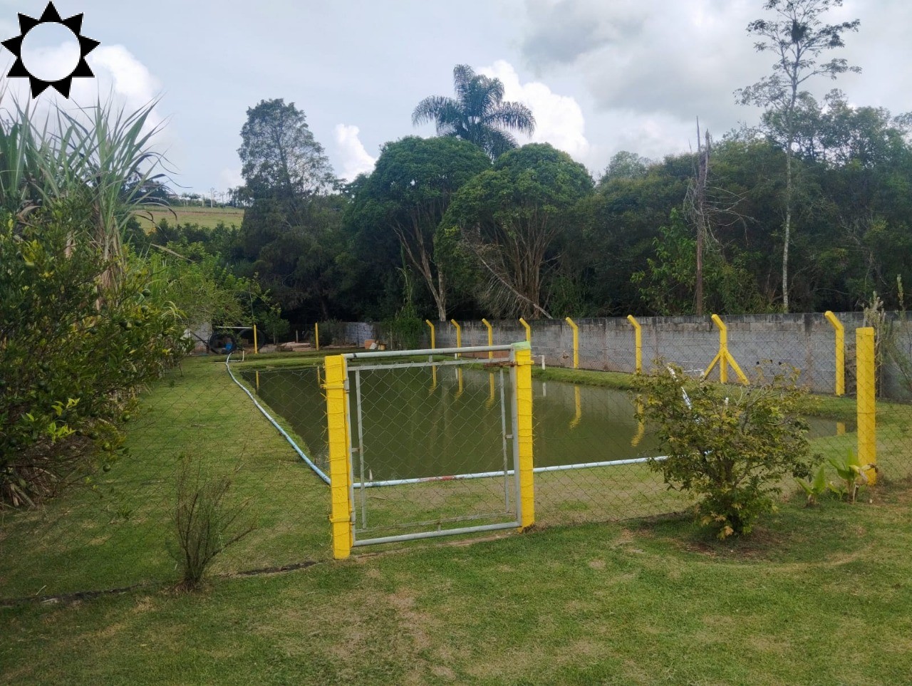 Fazenda, 2000 m² - Foto 6