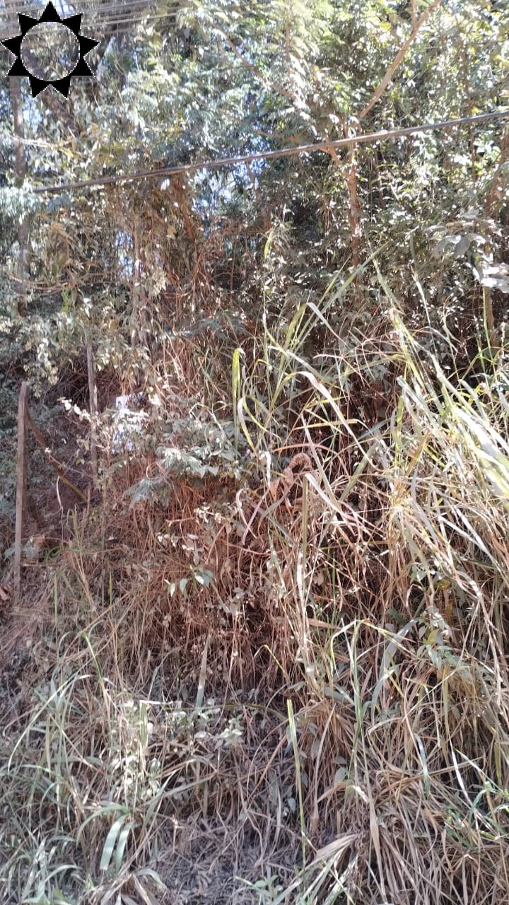 Terreno, 5000 m² - Foto 6