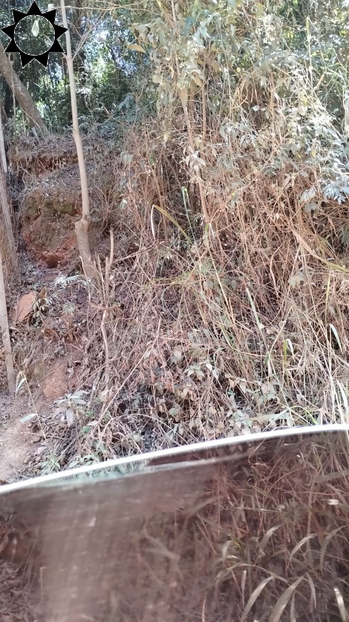 Terreno, 5000 m² - Foto 7