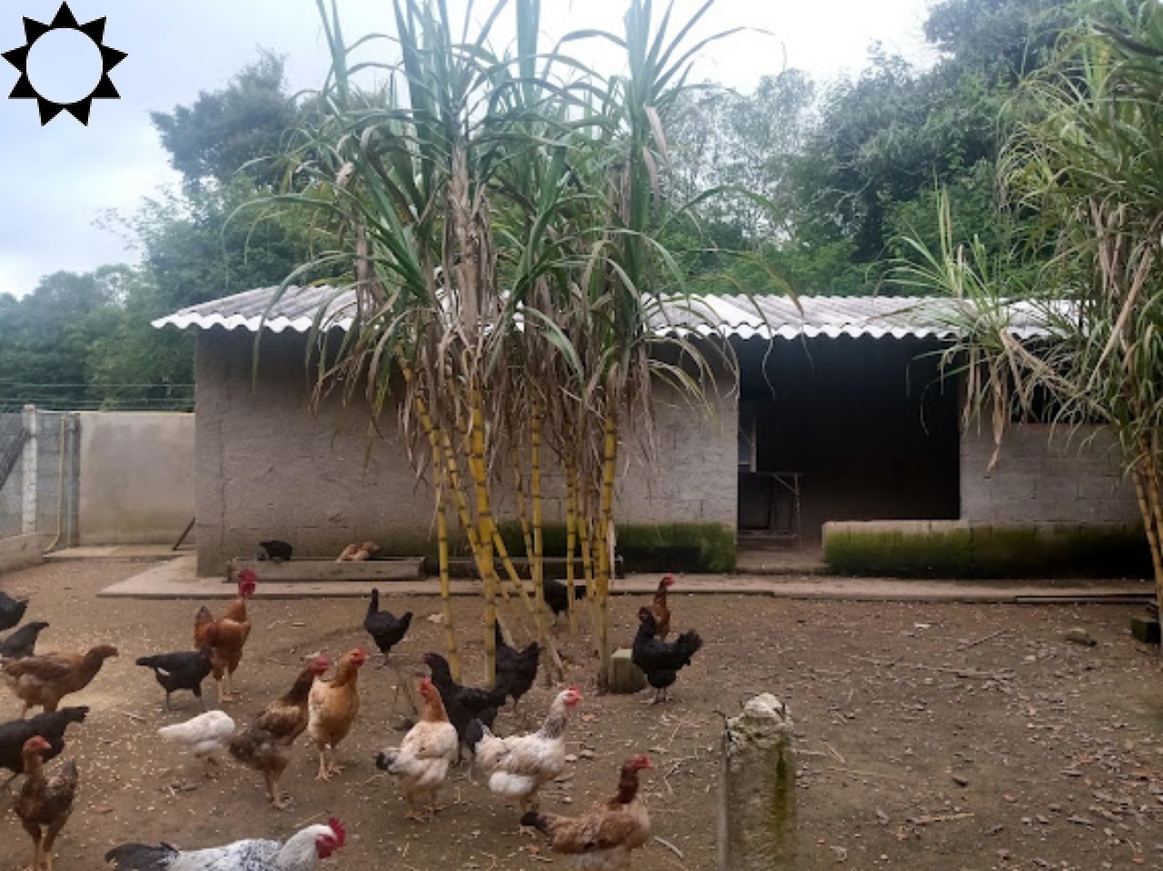 Fazenda, 2000 m² - Foto 2