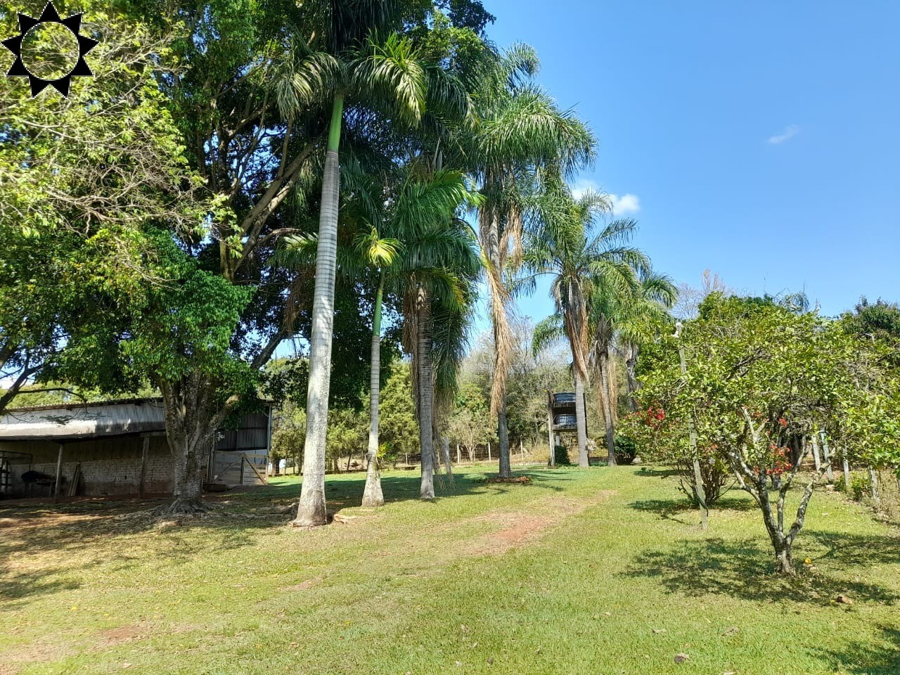Sítio, 4 quartos, 10000 m² - Foto 39