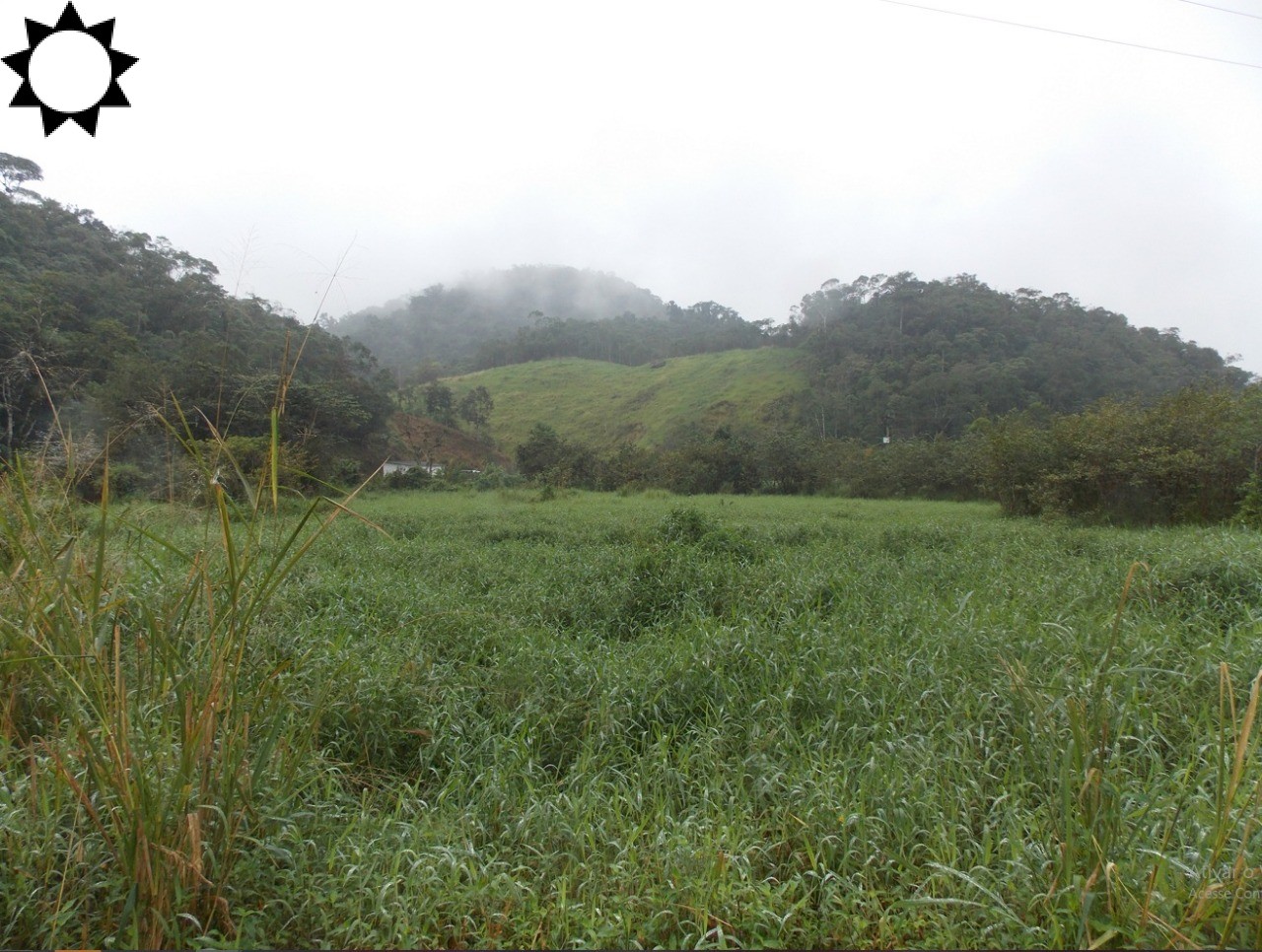 Fazenda, 49 hectares - Foto 1