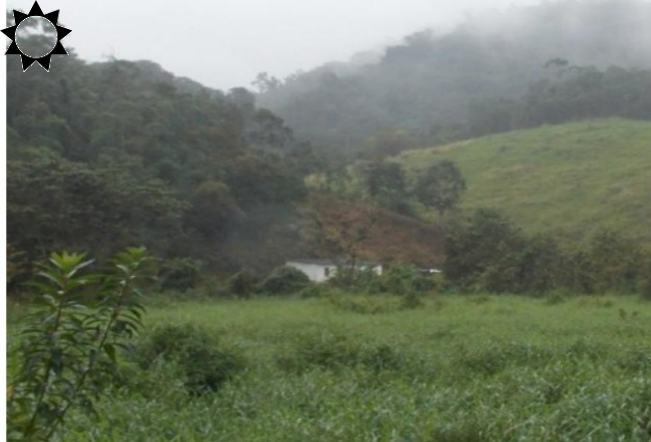 Fazenda, 49 hectares - Foto 2
