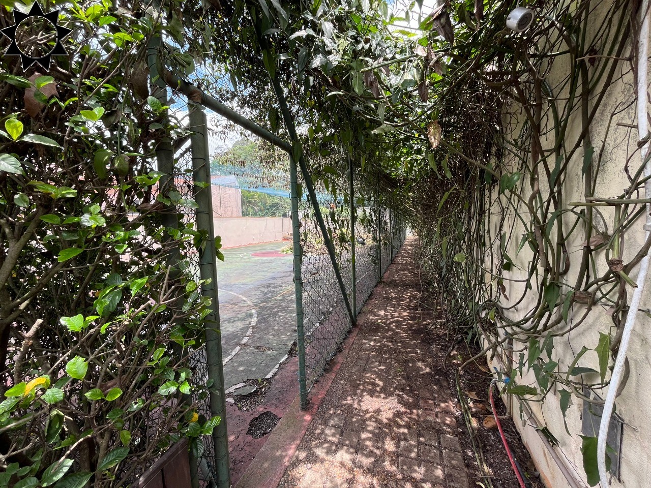 Casa, 4 quartos, 630 m² - Foto 13