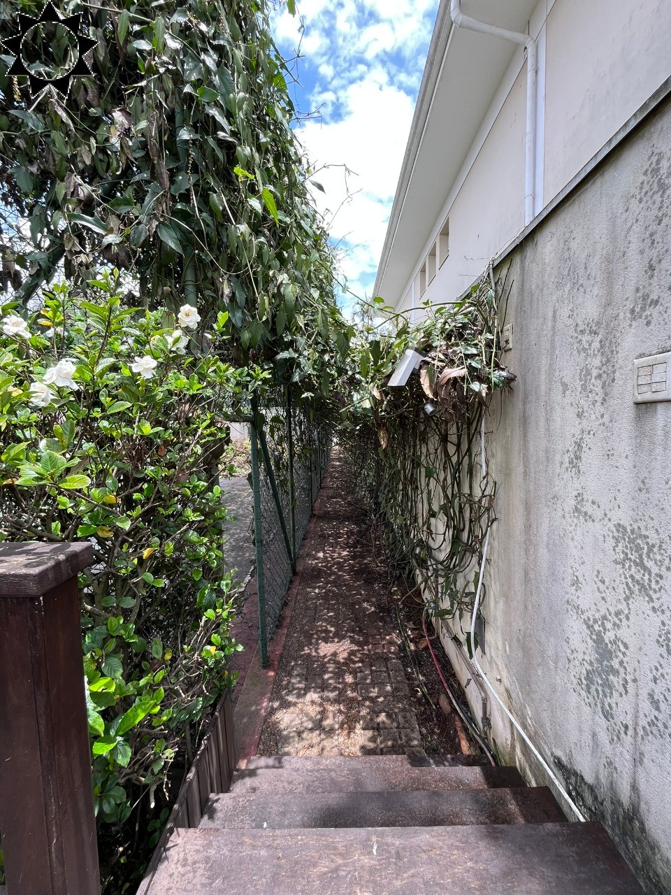 Casa, 4 quartos, 630 m² - Foto 12