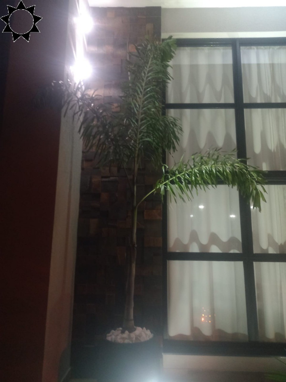 Casa, 3 quartos, 200 m² - Foto 49