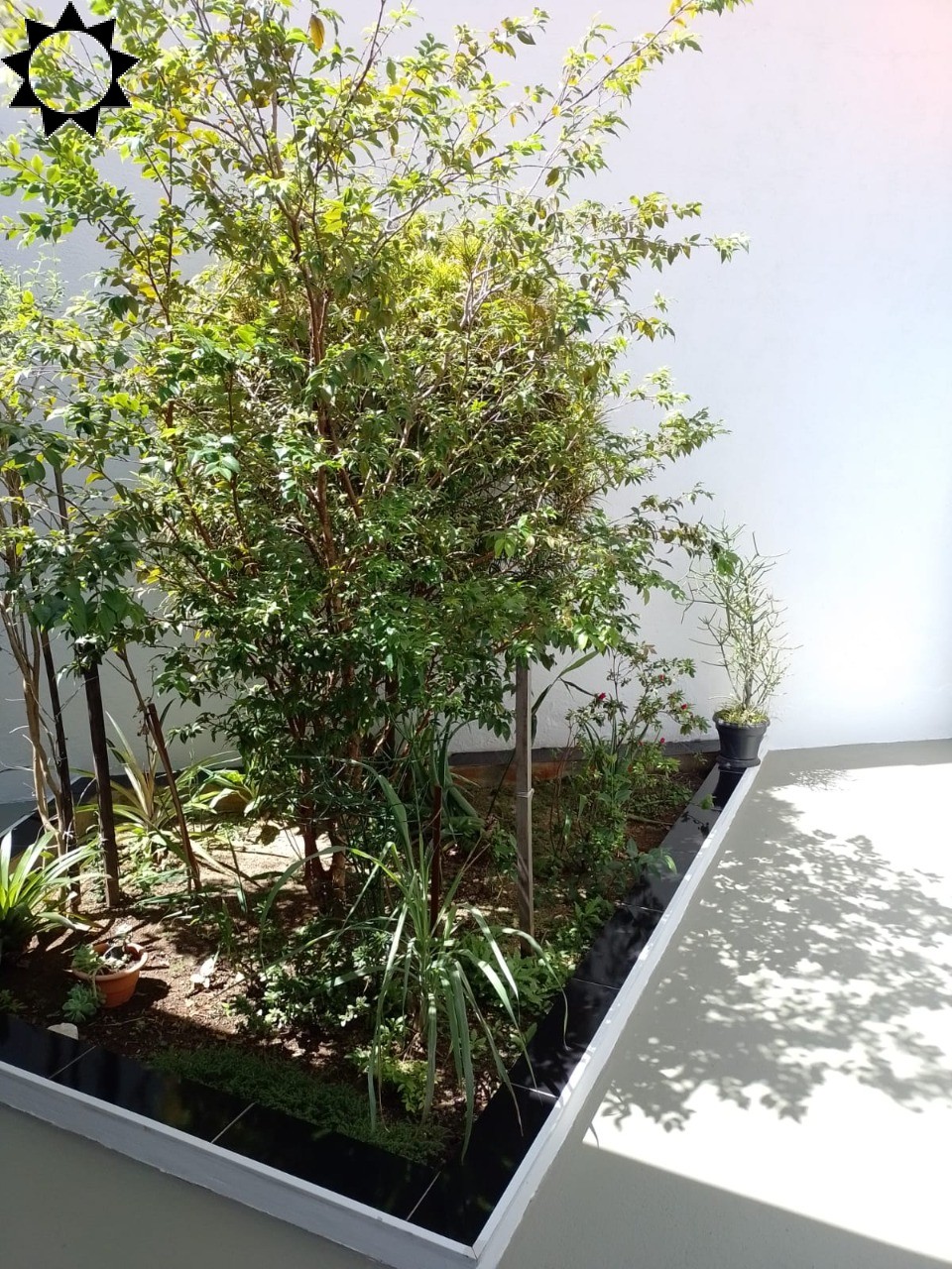 Casa, 1 quarto, 60 m² - Foto 12