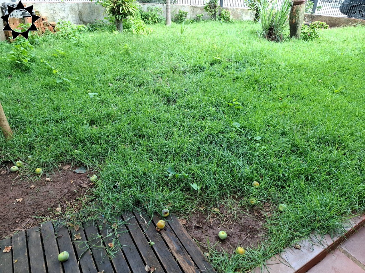 Casa, 3 quartos, 277 m² - Foto 10