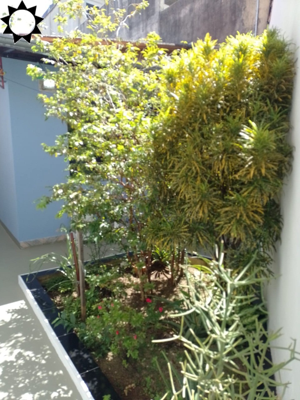Casa, 1 quarto, 60 m² - Foto 23