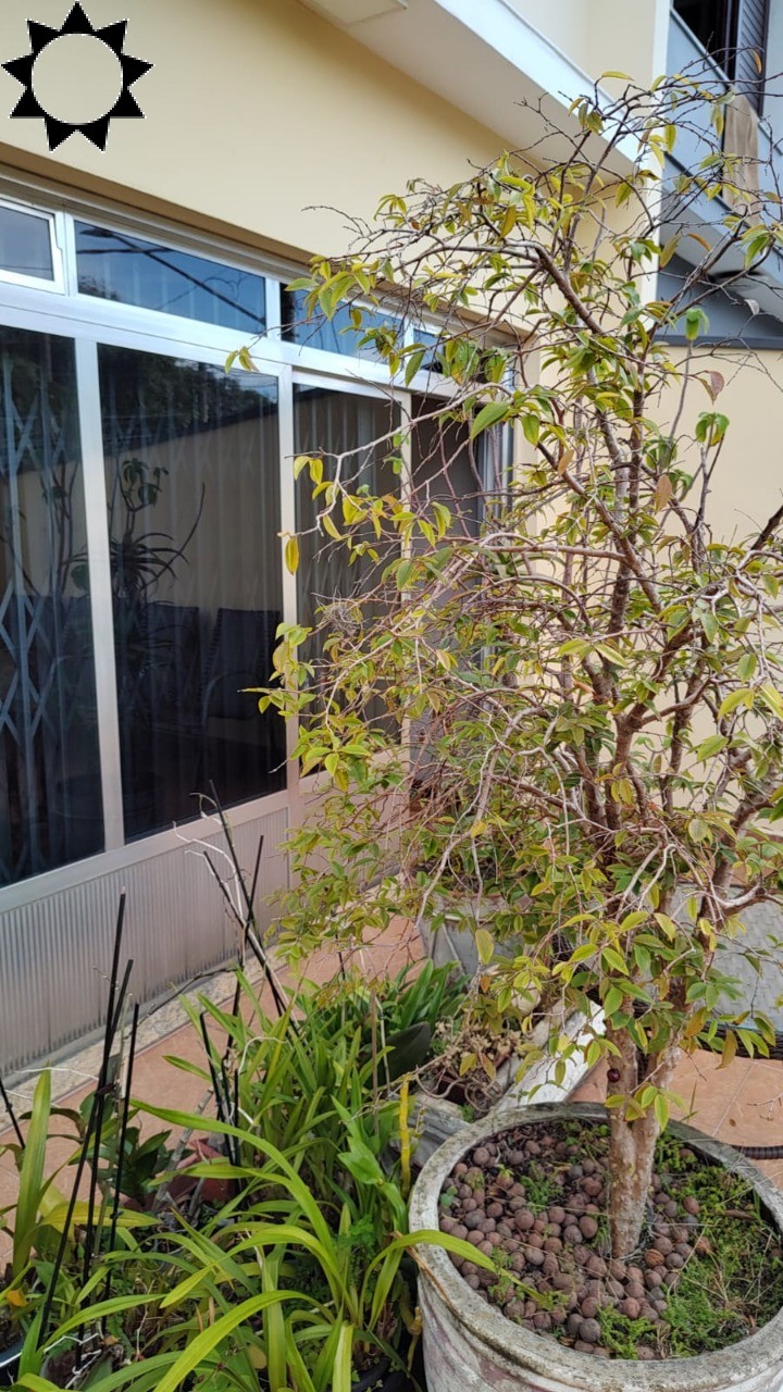 Casa, 3 quartos, 194 m² - Foto 16