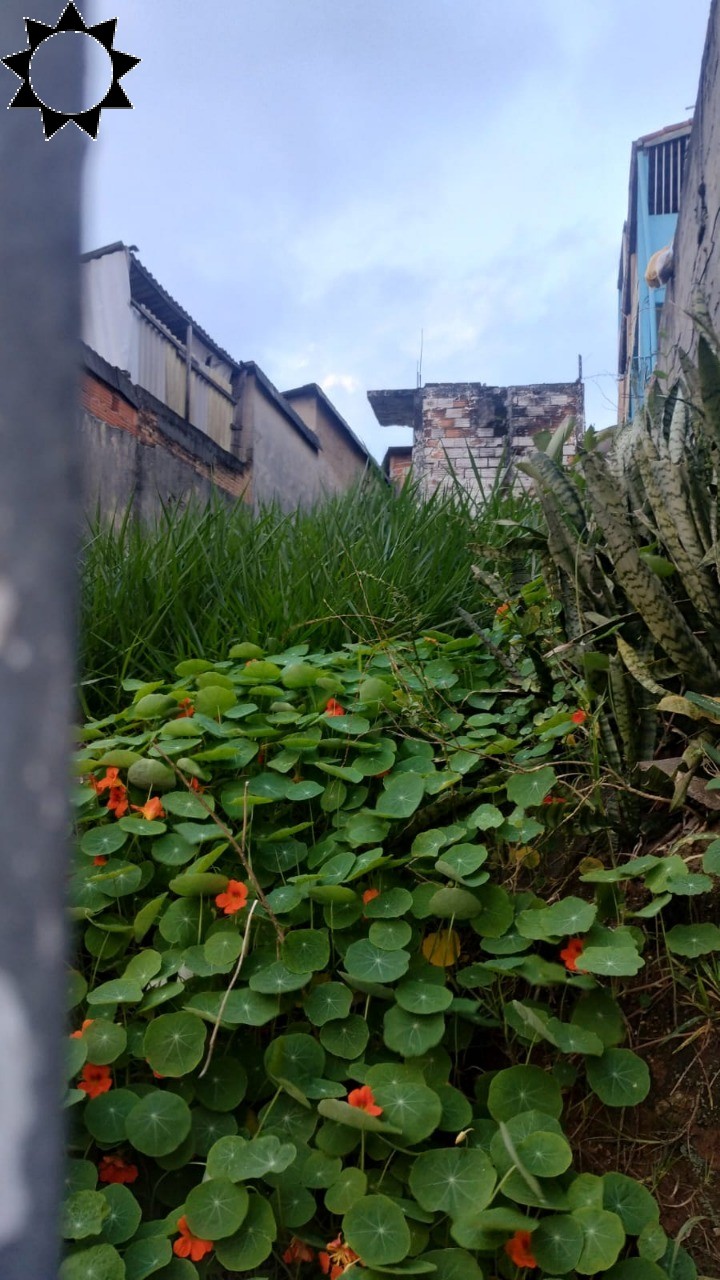 Terreno, 125 m² - Foto 4