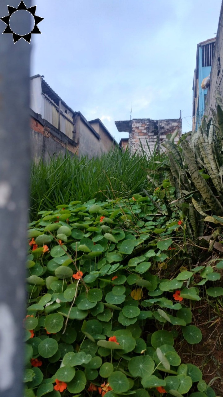 Terreno, 125 m² - Foto 3