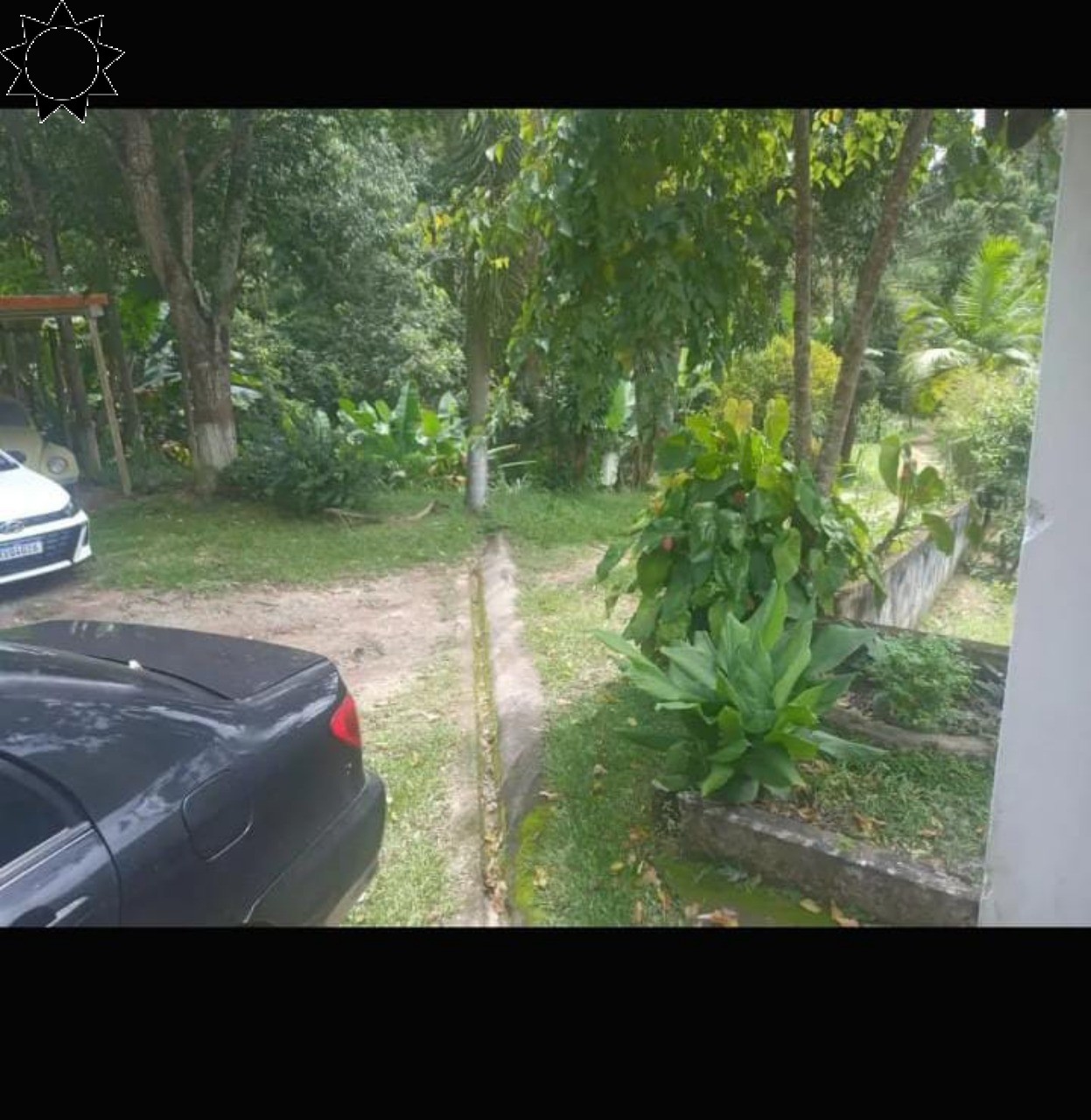Fazenda, 4 hectares - Foto 6