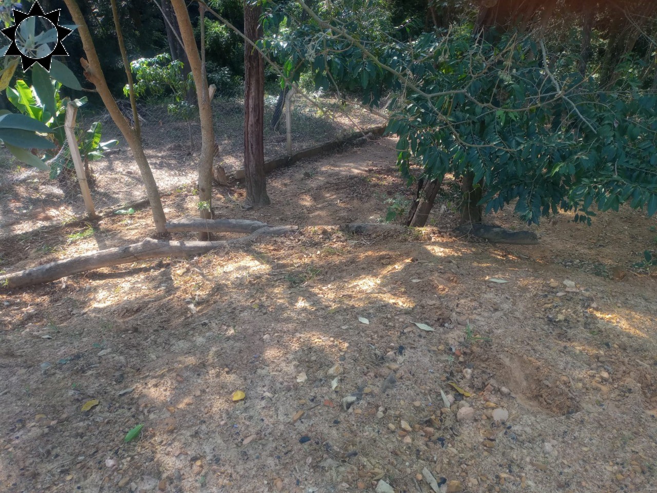 Sítio, 1 quarto, 700 m² - Foto 15