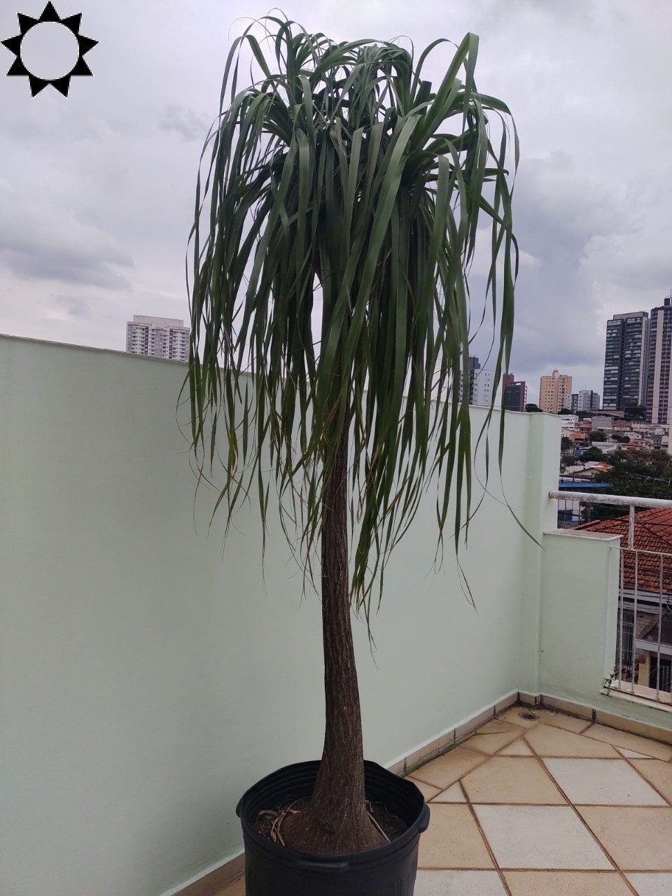 Casa, 3 quartos, 230 m² - Foto 11