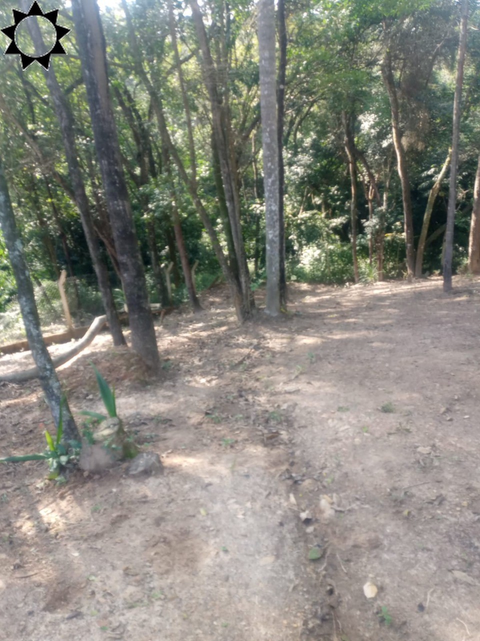Sítio, 1 quarto, 700 m² - Foto 7