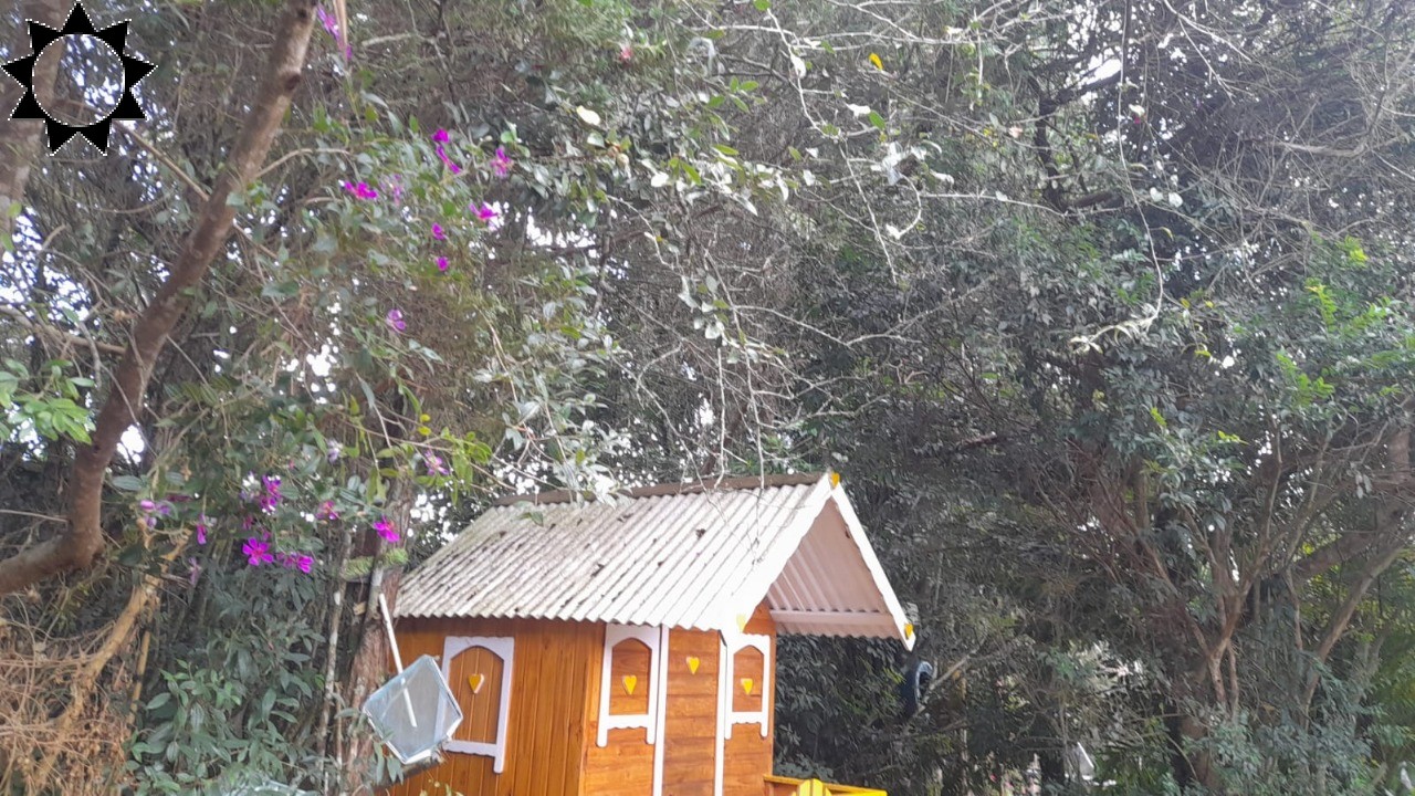 Sítio, 3 quartos, 1000 m² - Foto 37