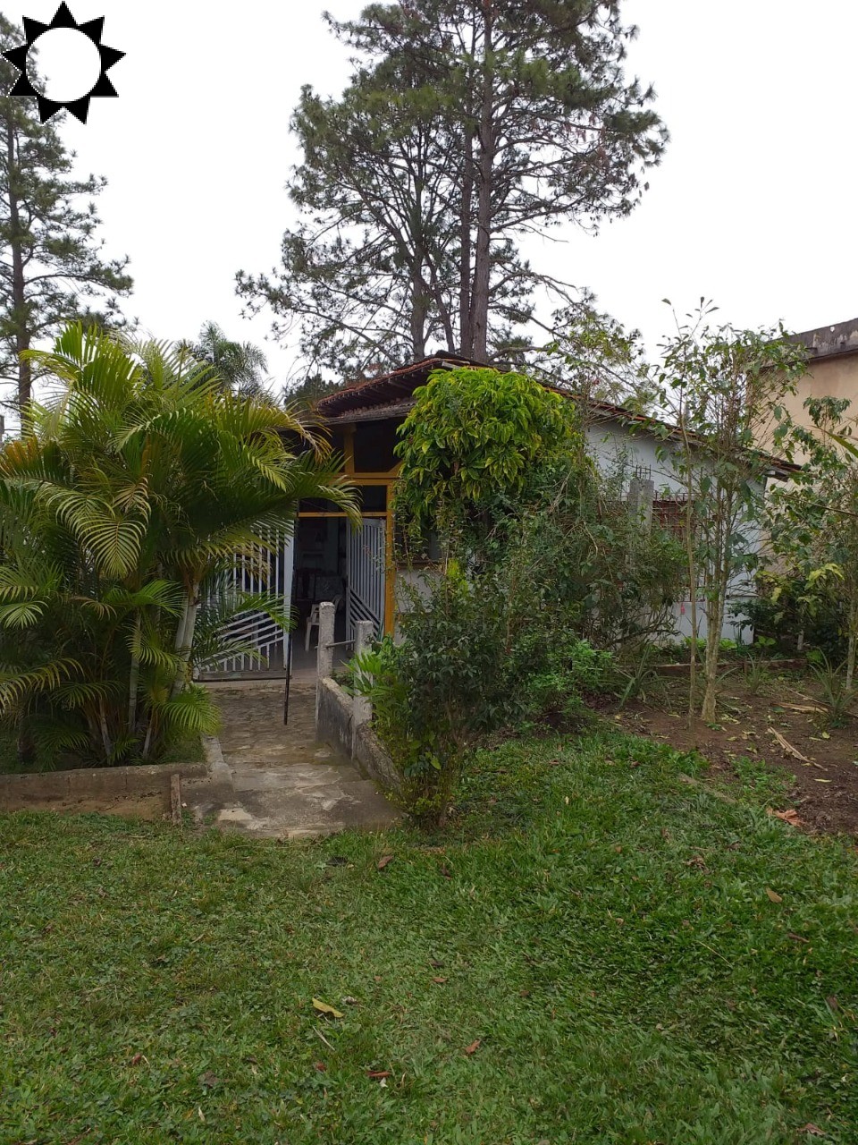 Sítio, 1 quarto, 2580 m² - Foto 4