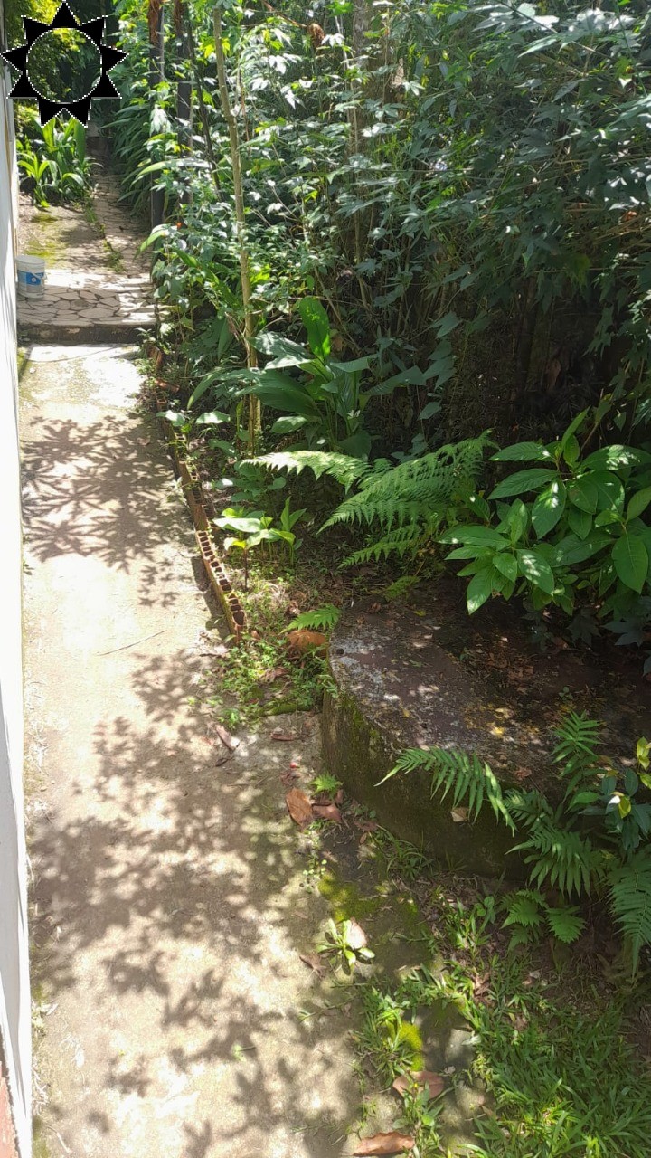 Sítio, 3 quartos, 1000 m² - Foto 12