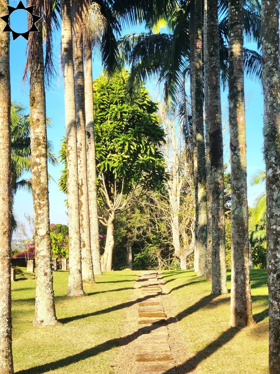 Sítio, 4 quartos, 4 hectares - Foto 38