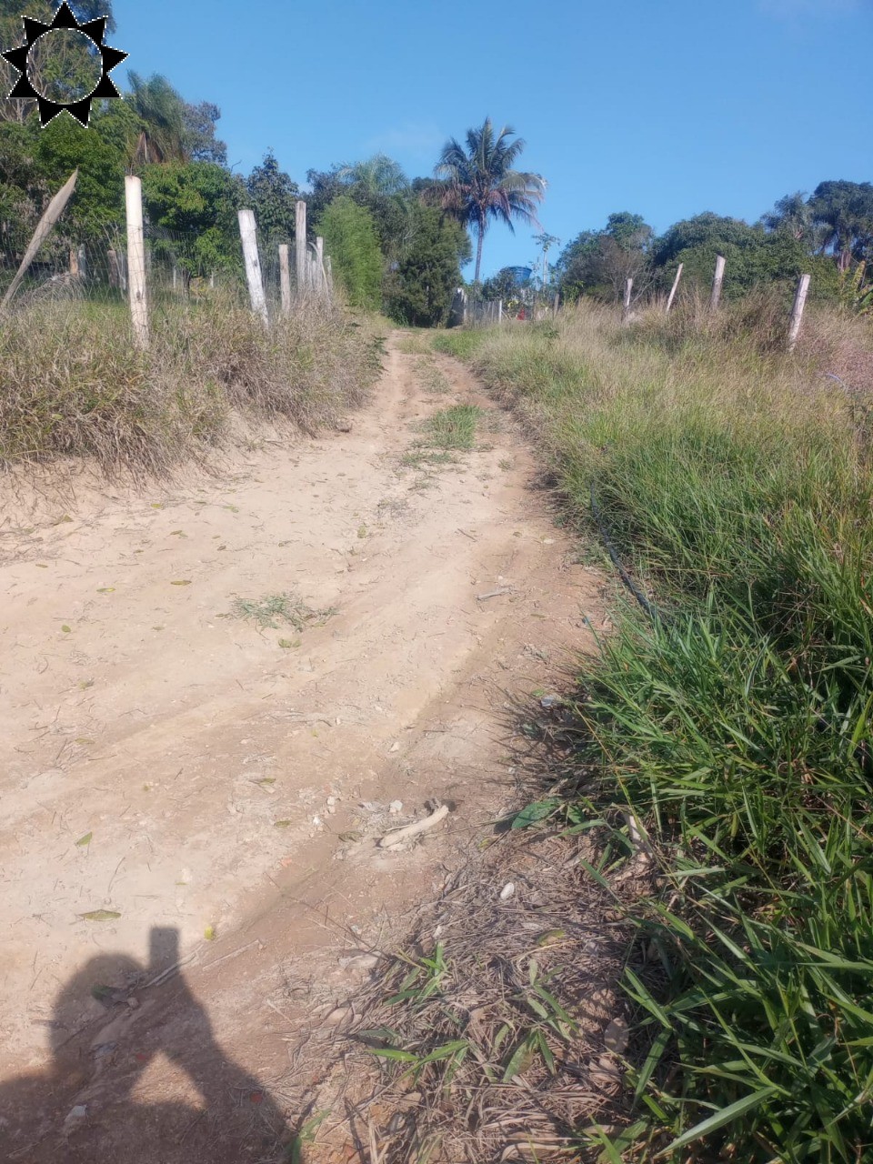 Sítio, 1 quarto, 700 m² - Foto 4