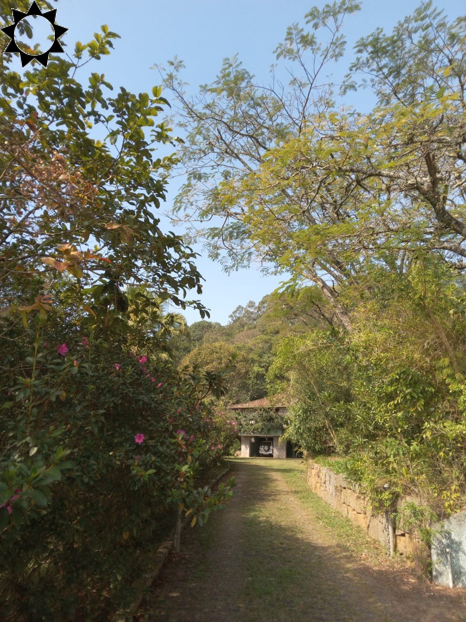 Fazenda, 10 hectares - Foto 17