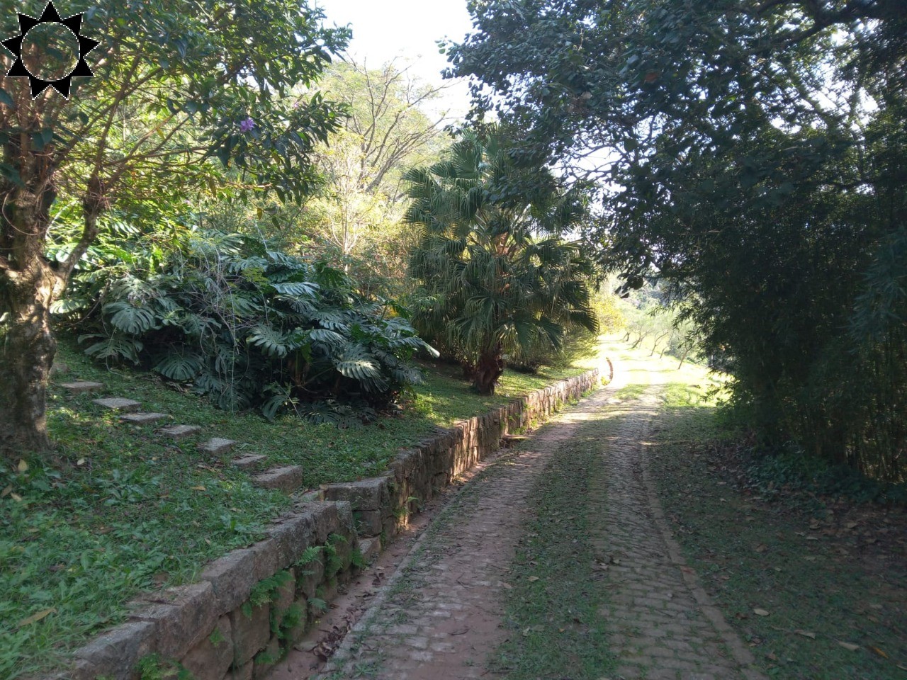 Fazenda, 10 hectares - Foto 29