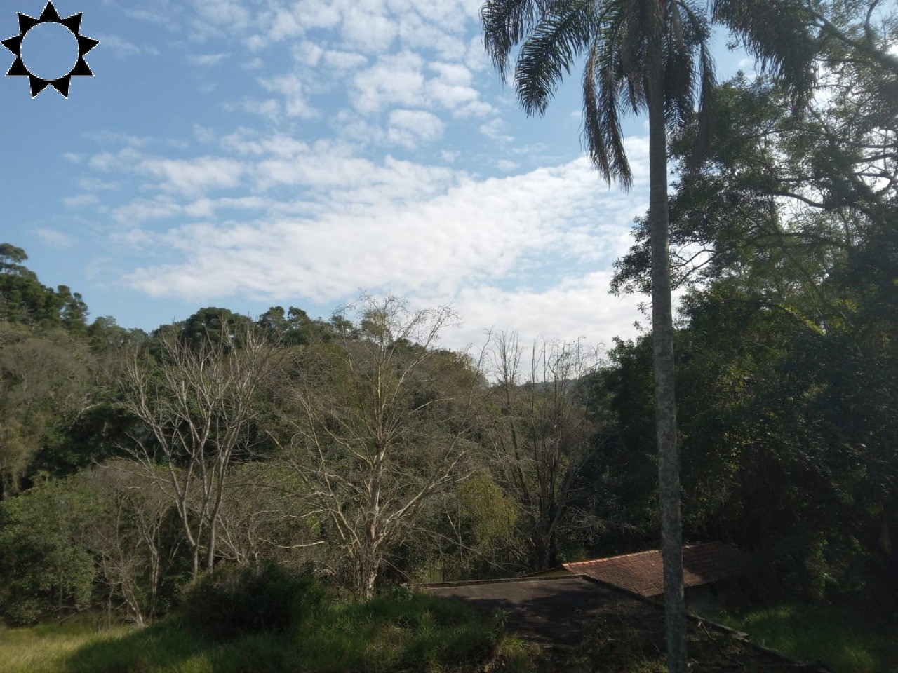 Fazenda, 10 hectares - Foto 4