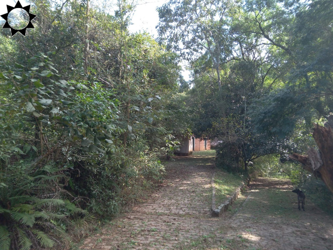 Fazenda, 10 hectares - Foto 10