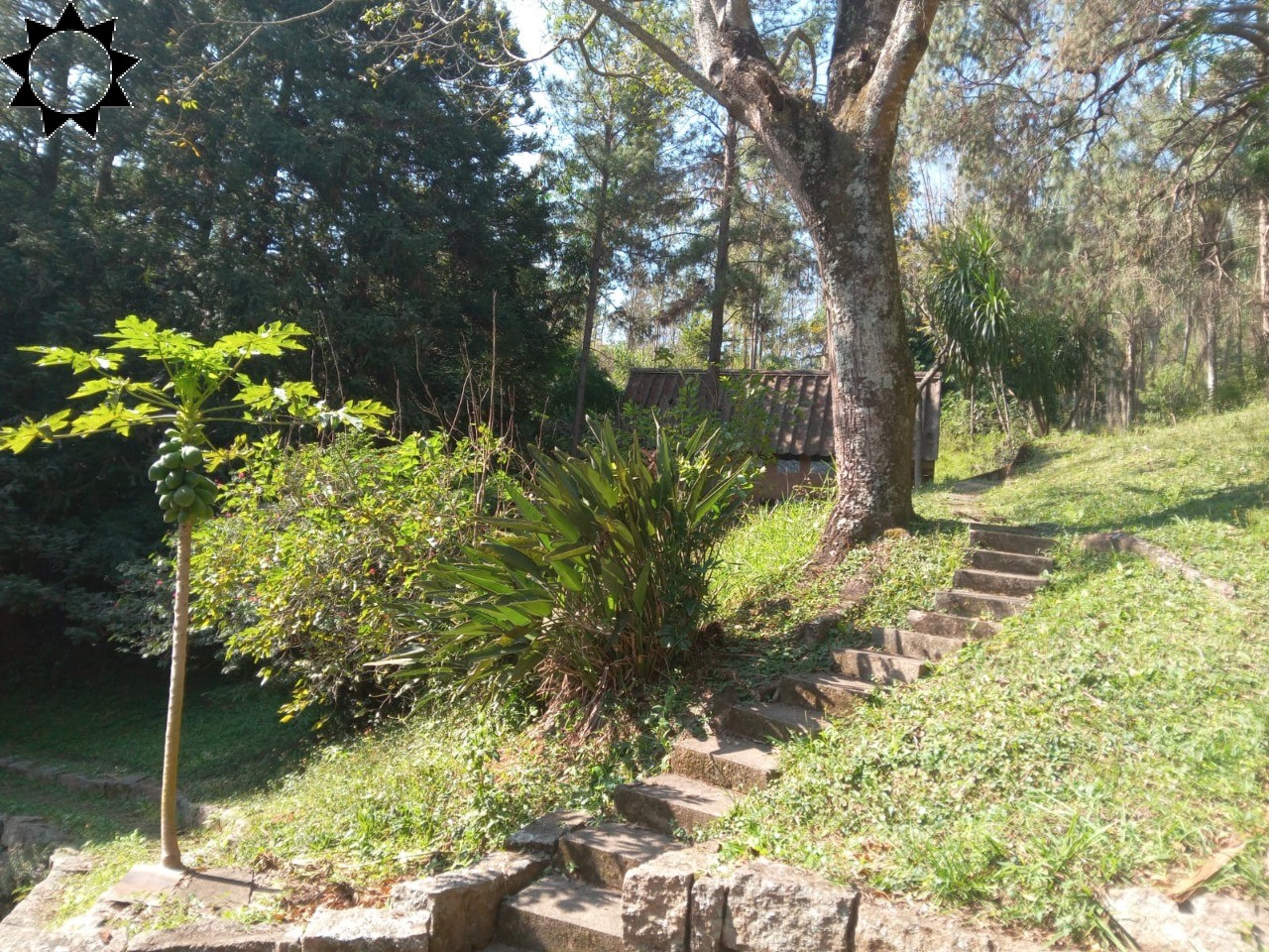 Fazenda, 10 hectares - Foto 38