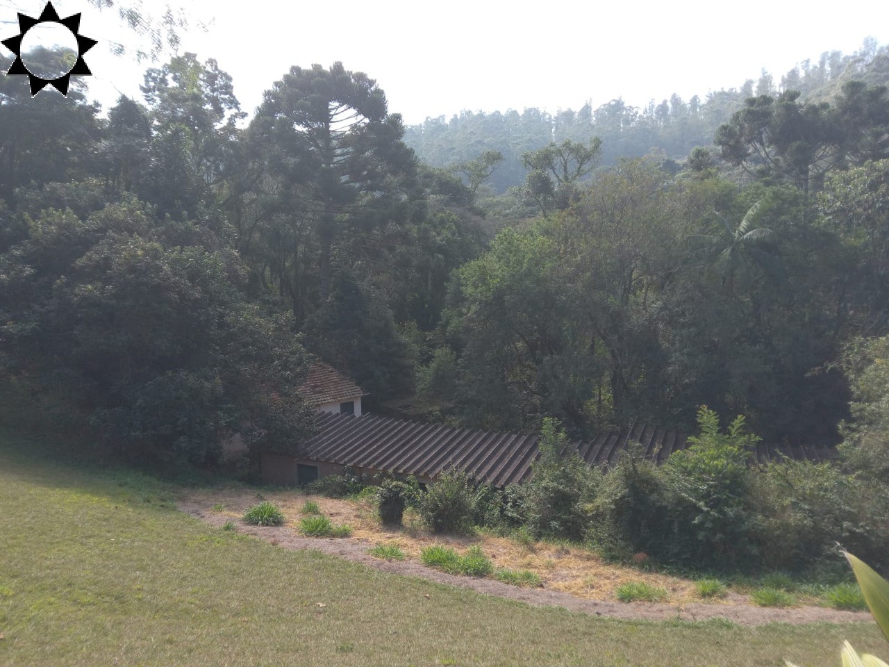 Fazenda, 10 hectares - Foto 12