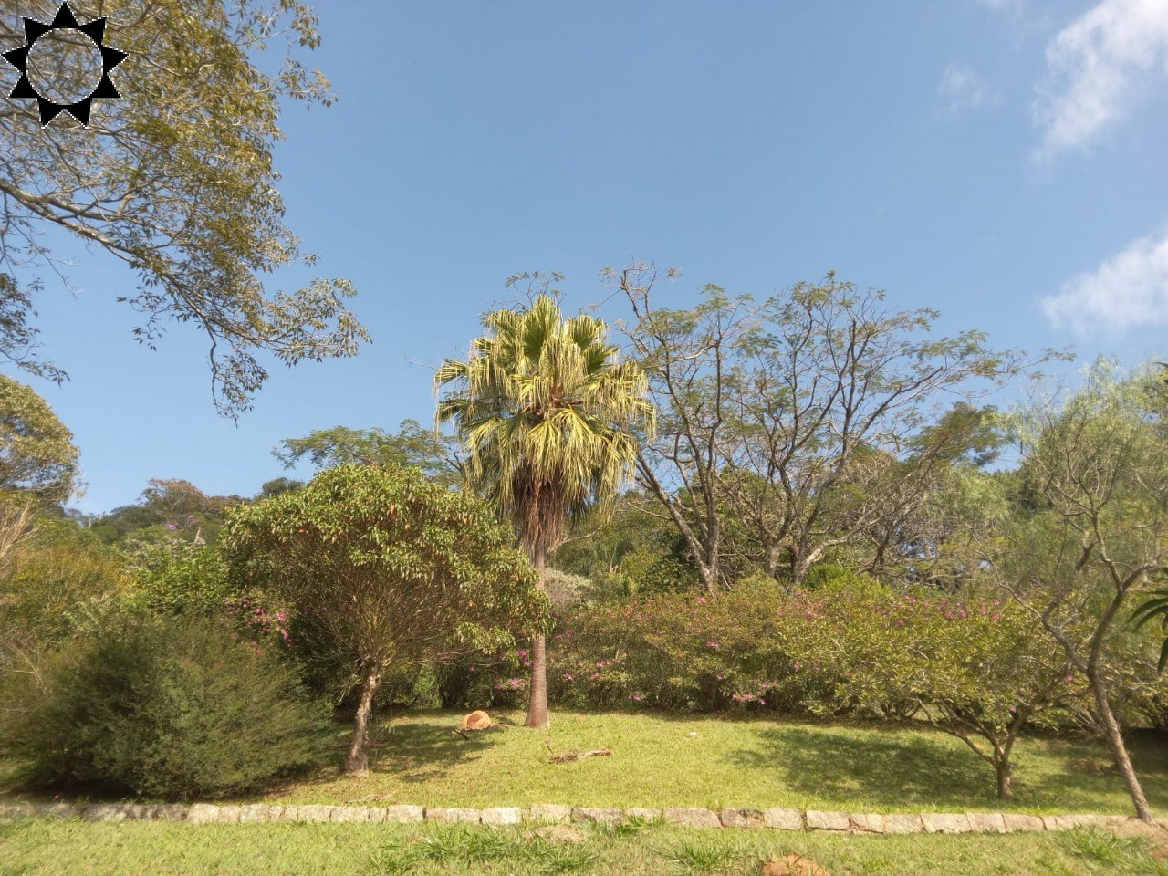 Fazenda, 10 hectares - Foto 9