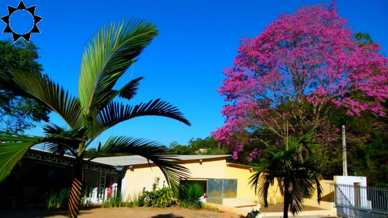 Sítio, 3 quartos, 2600 m² - Foto 1