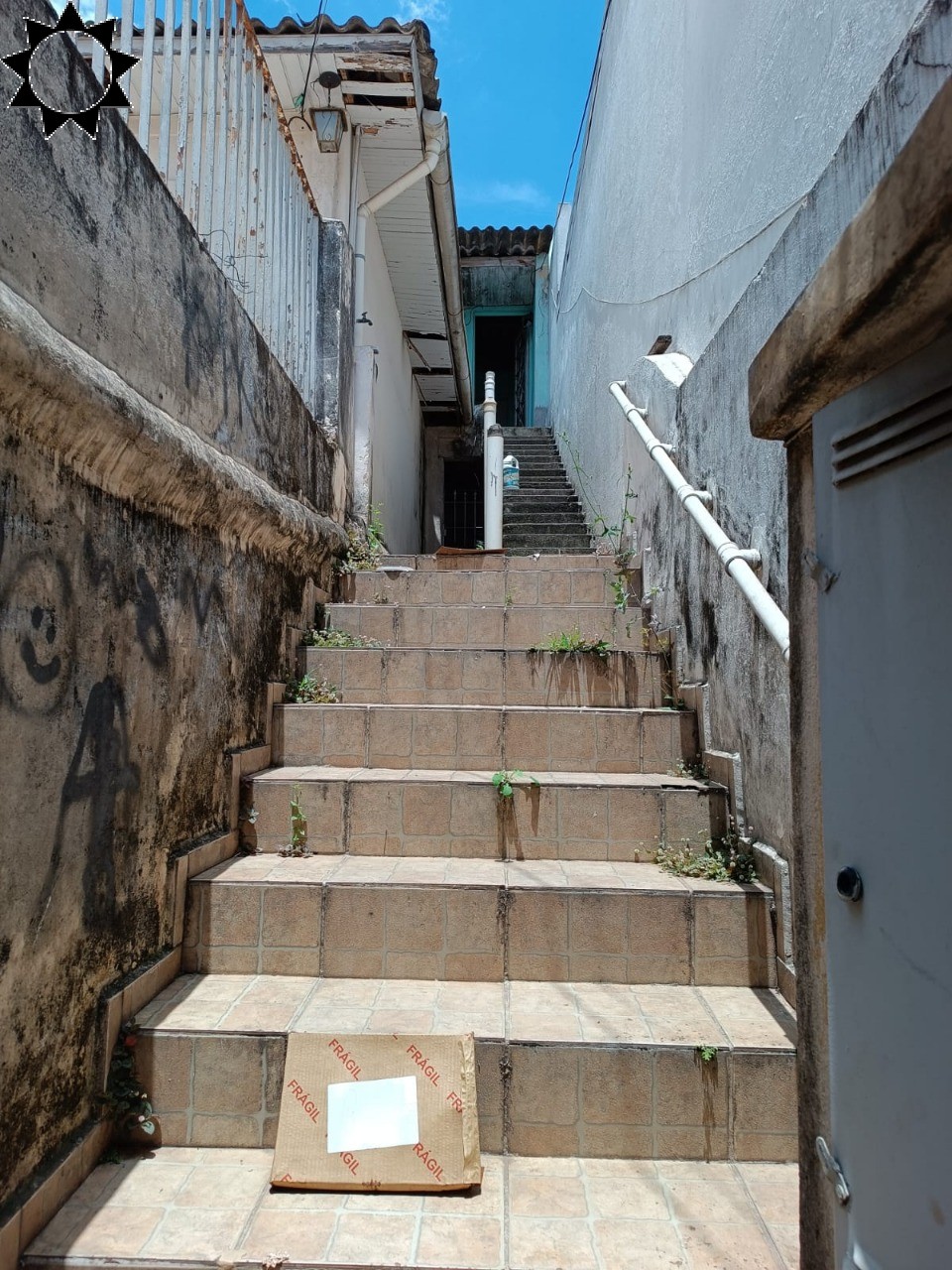 Casa, 7 quartos, 250 m² - Foto 2