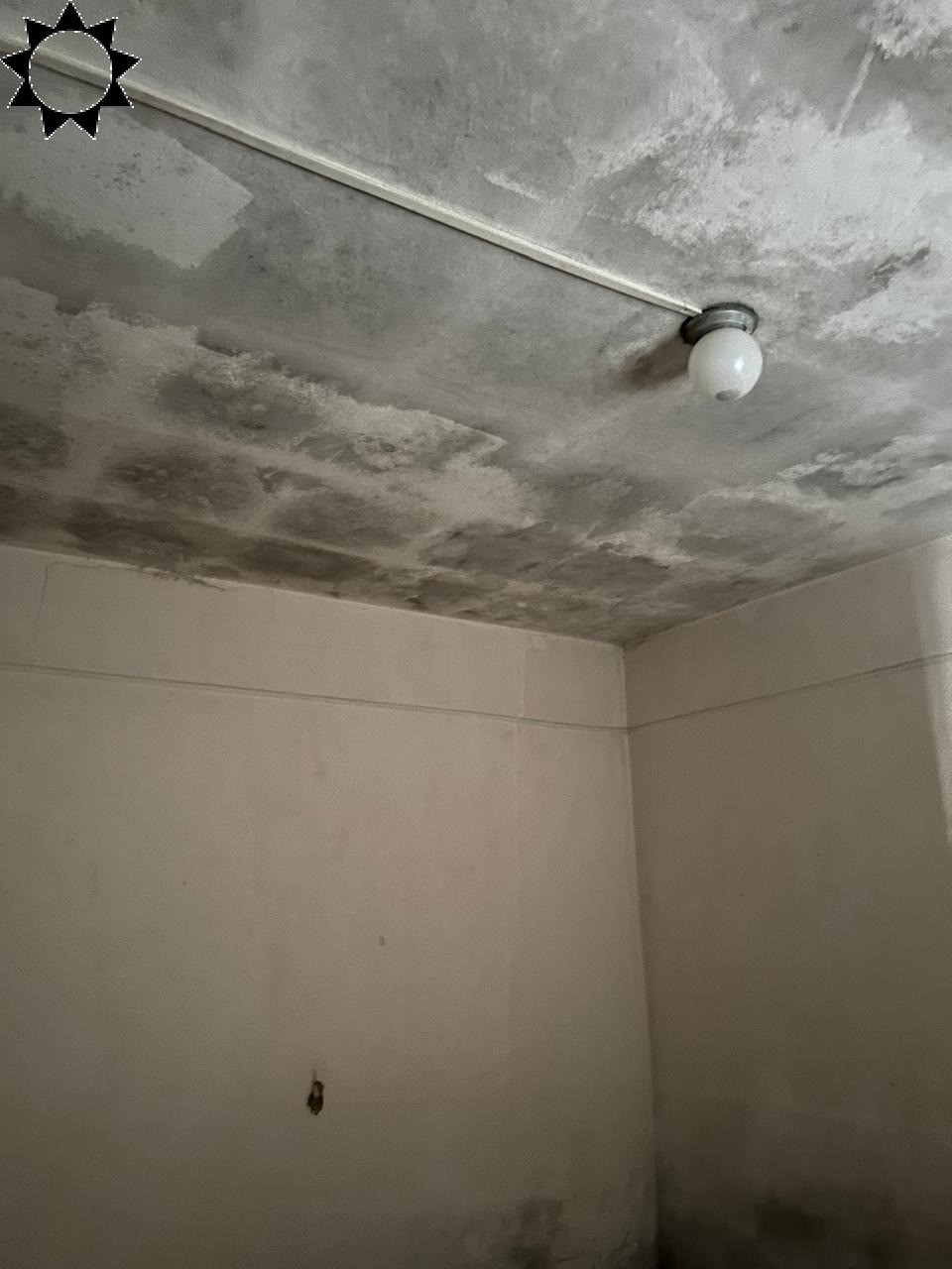 Prédio Inteiro, 220 m² - Foto 6