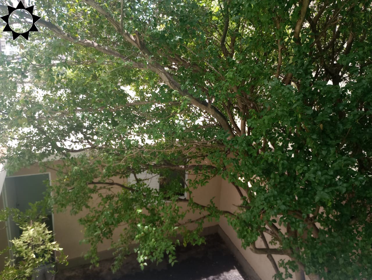 Casa, 3 quartos, 137 m² - Foto 12