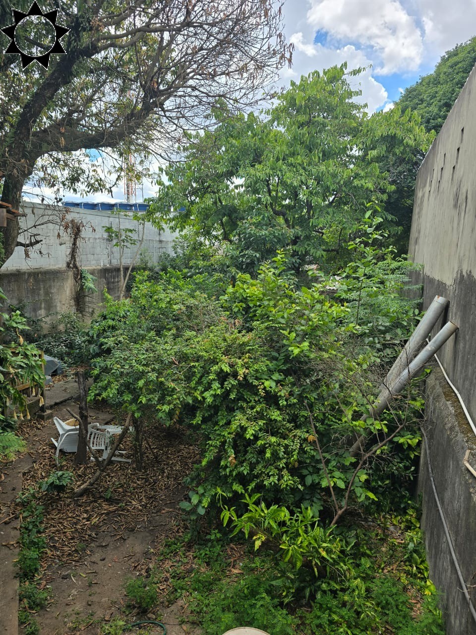 Casa, 3 quartos, 250 m² - Foto 4