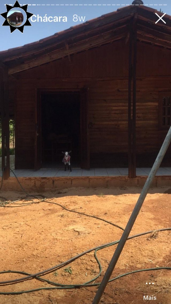 Chácara, 2 quartos, 4500 m² - Foto 2