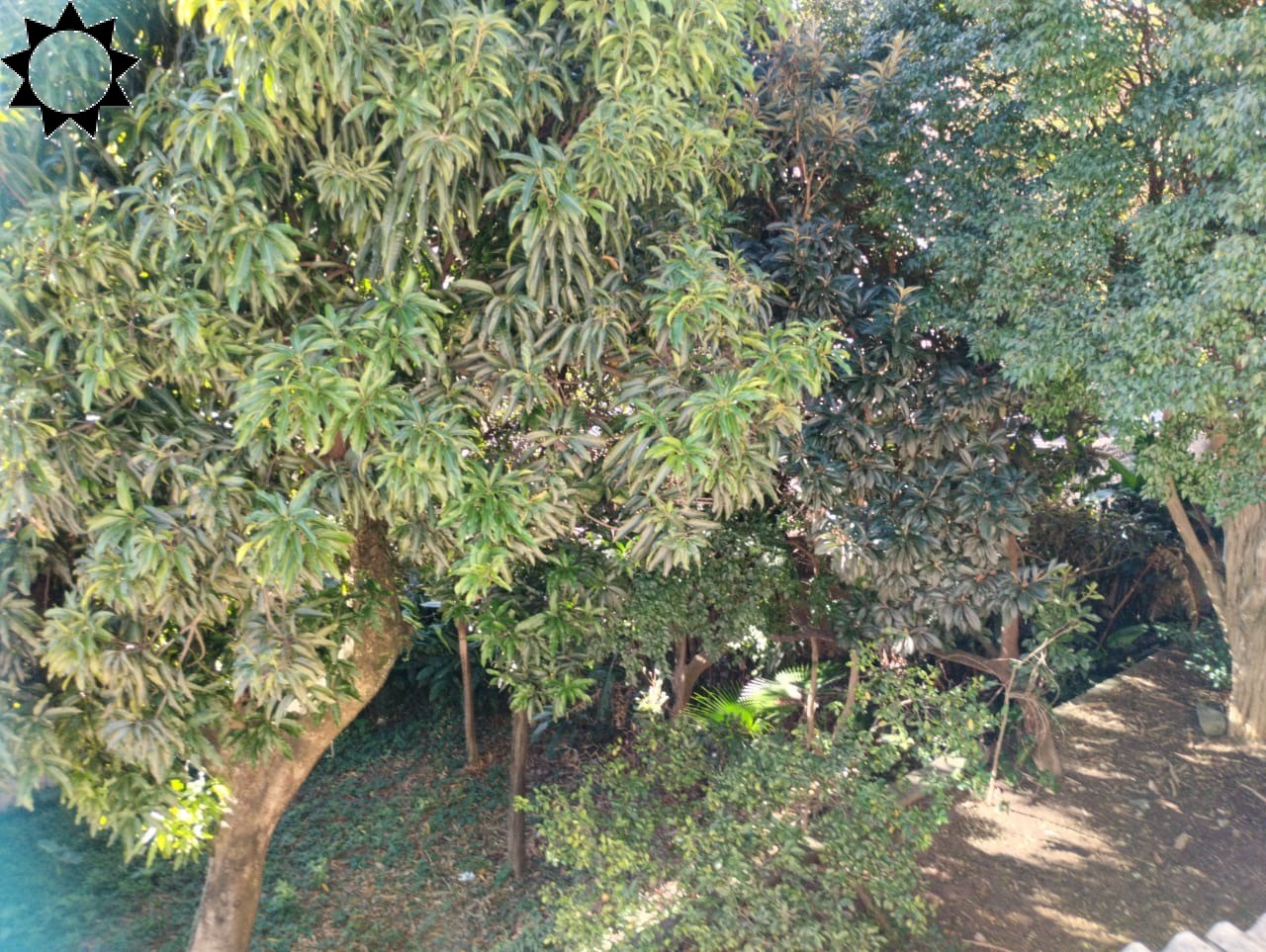 Casa, 8 quartos, 1020 m² - Foto 14