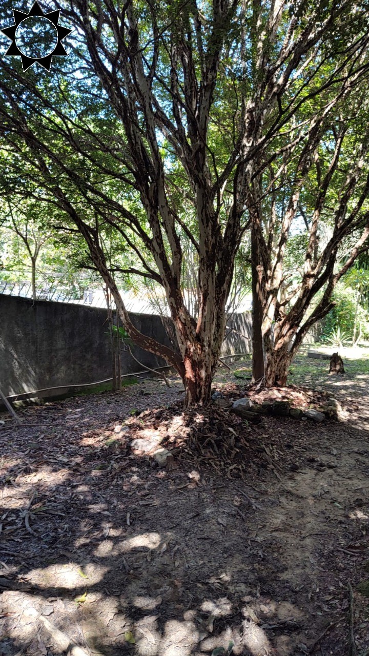 Casa, 4 quartos, 2300 m² - Foto 29