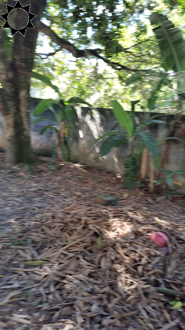 Casa, 4 quartos, 2300 m² - Foto 30