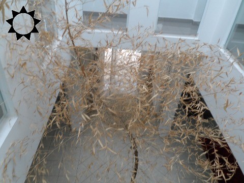 Casa, 3 quartos, 400 m² - Foto 33